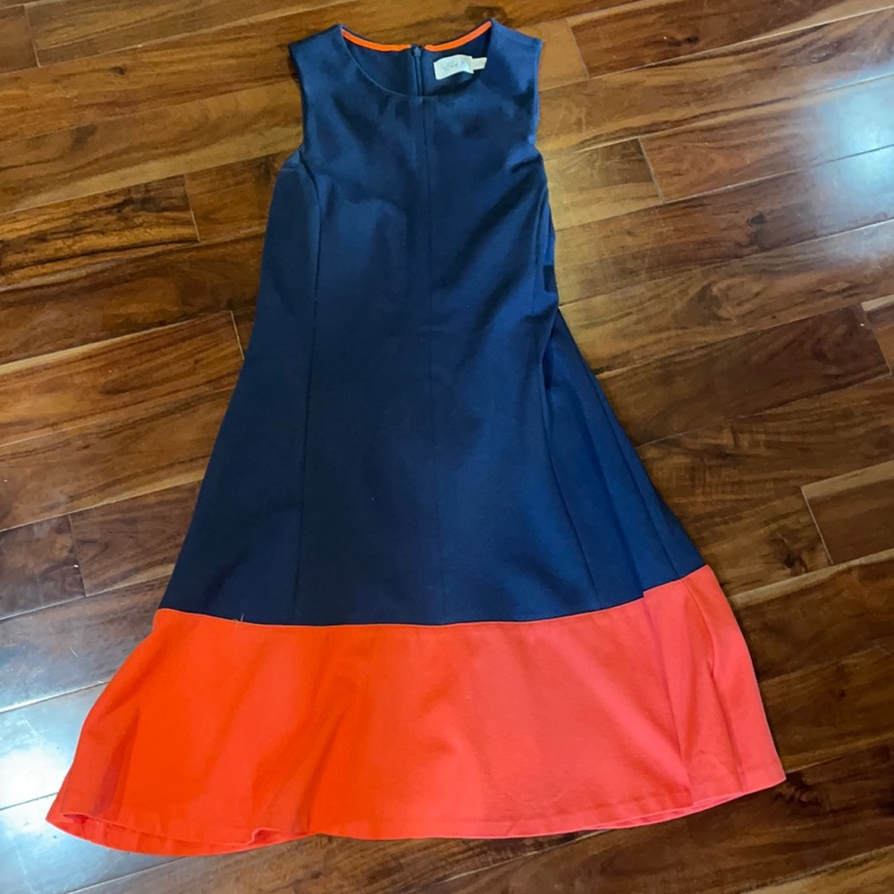 Blue & Coral Dress